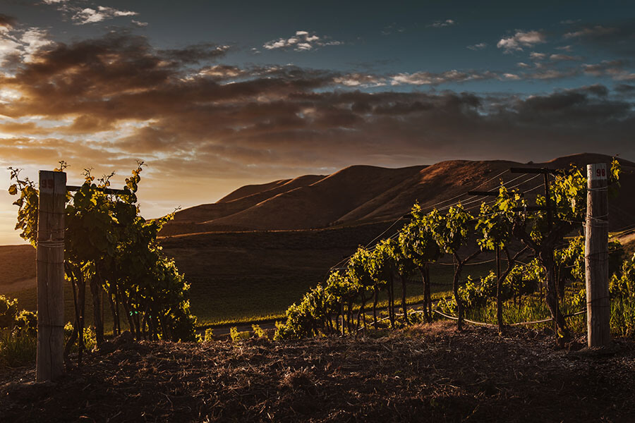 Mendoza - Argentina